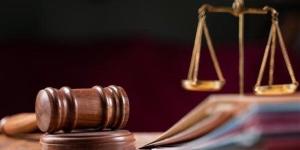 بلاغ من الأم والتحريات تكشف الواقعة، عامل أمام الجنايات بتهمة هتك عرض طفلة بحلوان