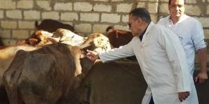 بيطري الفيوم: تحصين 8690 رأس ماشية ضد الحمى القلاعية والوادي المتصدع خلال أغسطس