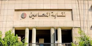 المحامين تحيل أشرف نبيل وهايدي الفضالي للتحقيق بسبب منشور الوظائف والسجال مع القضاة