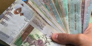 سعر الجنيه السوداني مقابل الدولار في بنك السودان المركزي اليوم الأحد