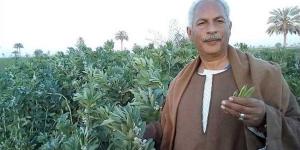 بسبب هجومه على المصريين بشأن رغيف الخبز، خبير لـ"نقيب الفلاحين": كفاية تنطيط على كتف المواطن
