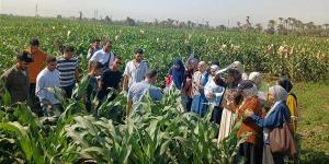 "الزراعة" تختتم برنامجا تدريبيا حول أحدث أساليب مكافحة الآفات بسوهاج
