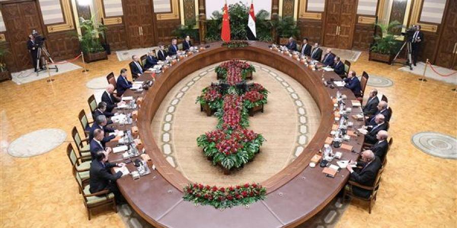 مصر والصين تؤكدان أهمية دعم حق الدول النامية بالمشاركة في صنع القرار الاقتصادي والسياسي الدولي