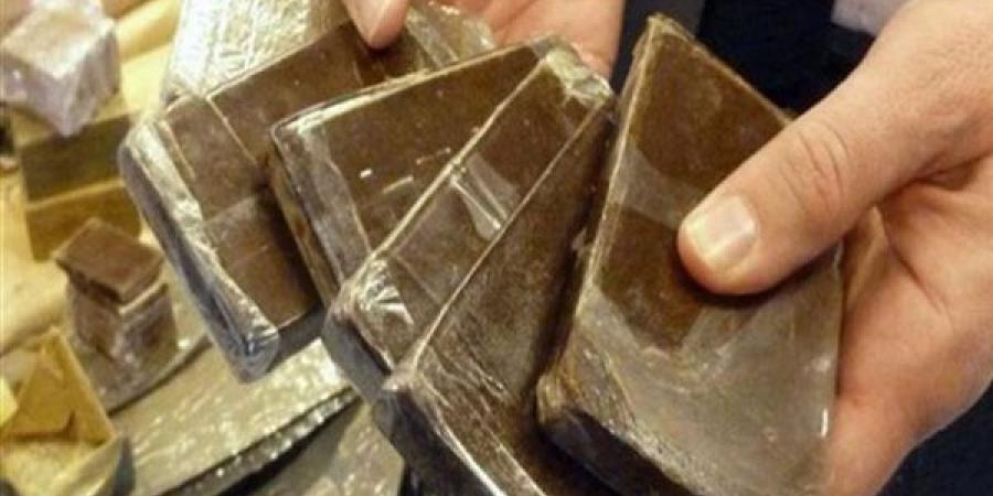 السجن 6 سنوات لمتهم بالاتجار فى الحشيش بالجيزة