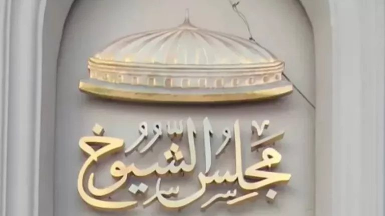 برلمانية: قطع الأشجار لسه مستمر رغم توجيهات رئيس الوزراء